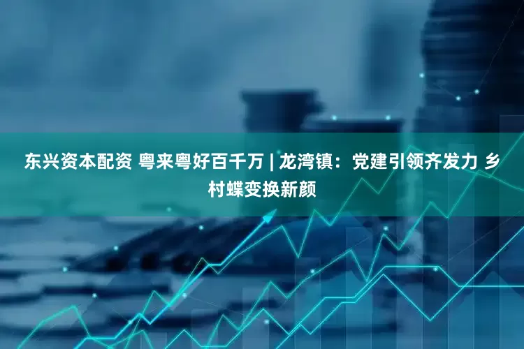 东兴资本配资 粤来粤好百千万 | 龙湾镇：党建引领齐发力 乡村蝶变换新颜