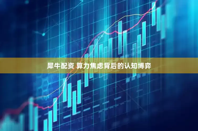 犀牛配资 算力焦虑背后的认知博弈