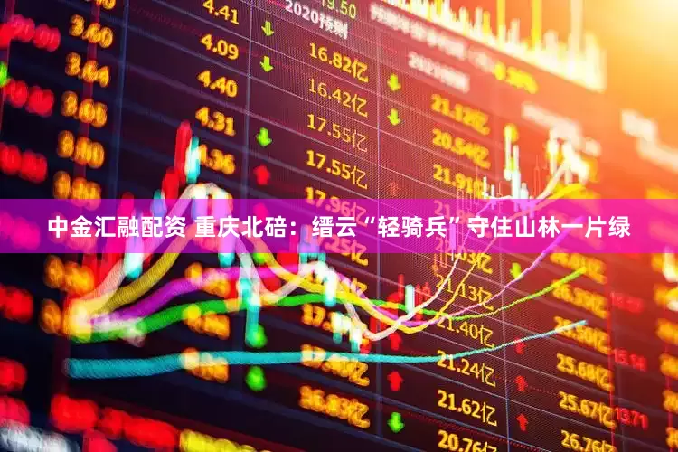 中金汇融配资 重庆北碚：缙云“轻骑兵”守住山林一片绿