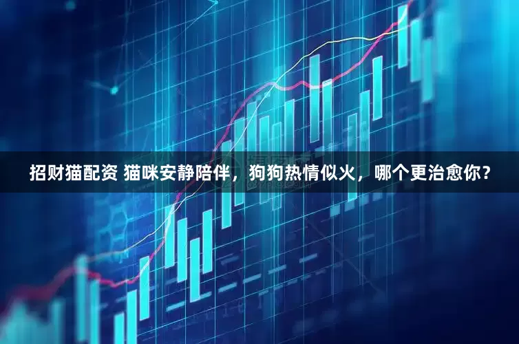 招财猫配资 猫咪安静陪伴，狗狗热情似火，哪个更治愈你？