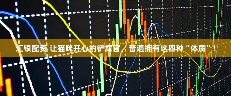 汇银配资 让猫咪开心的铲屎官，普遍拥有这四种“体质”！