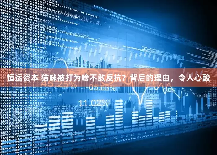 恒运资本 猫咪被打为啥不敢反抗？背后的理由，令人心酸