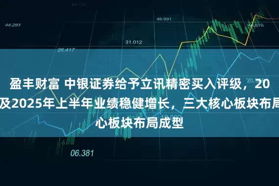 盈丰财富 中银证券给予立讯精密买入评级，2024年及2025年上半年业绩稳健增长，三大核心板块布局成型