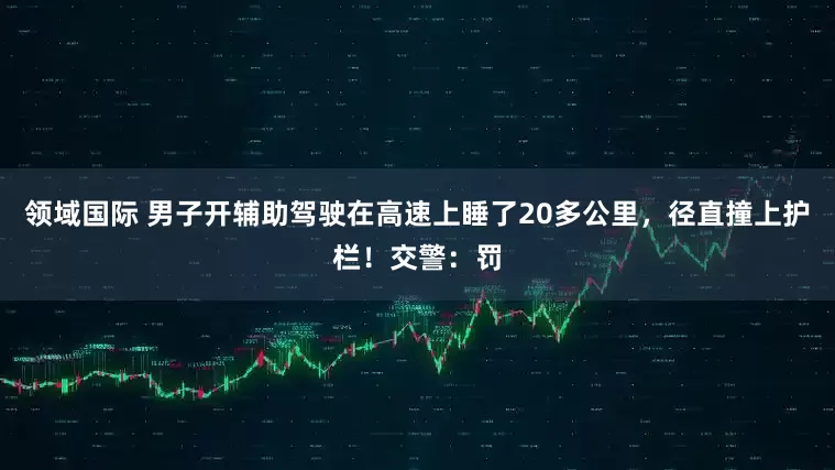 领域国际 男子开辅助驾驶在高速上睡了20多公里，径直撞上护栏！交警：罚